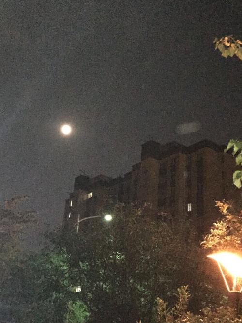 中秋节夜晚