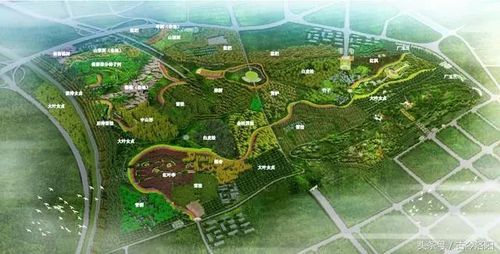 洛阳周山森林公园提升规划出炉 规划占地790公顷投资4.6亿