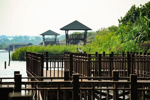 中国旅游景区大全之厦门园博苑