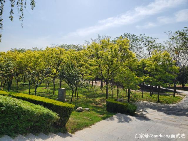 咸阳湖景区之渭滨公园