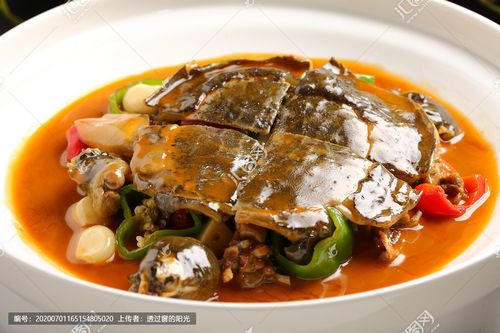 红煨甲鱼