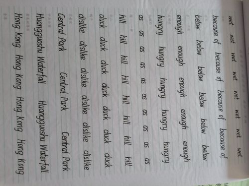 当然每天的英语字帖也是要写的