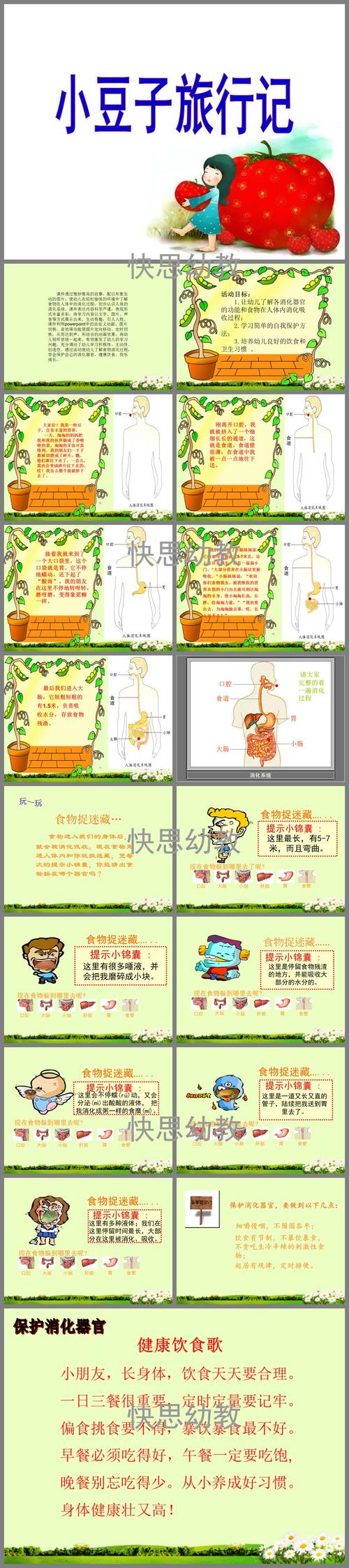 大班健康小豆子旅行记ppt课件教案