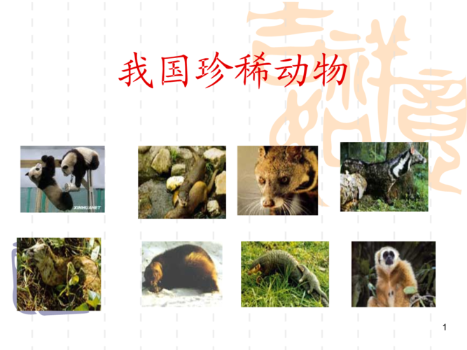 冀教版七年级生物上册《第四章 第十节 我国珍稀动物》课件5 .ppt