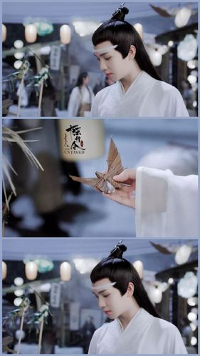 郑繁星,蓝愿,阿苑