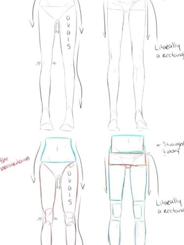 【绘画素材】教你如何画一对漫画腿