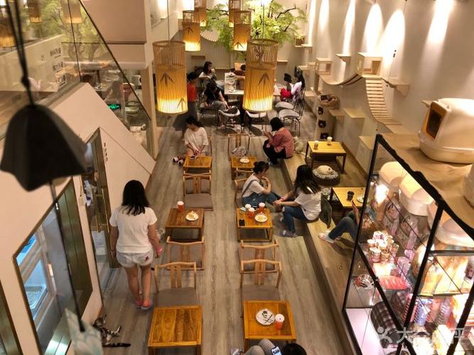 淘喵喵·猫咖啡馆猫咖(猫舍)(徐汇店)图片 - 第748张