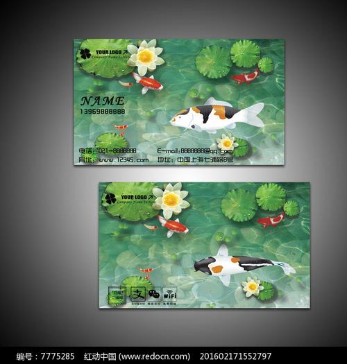锦鲤观赏鱼名片