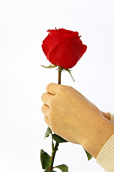 一个女人手拿玫瑰花