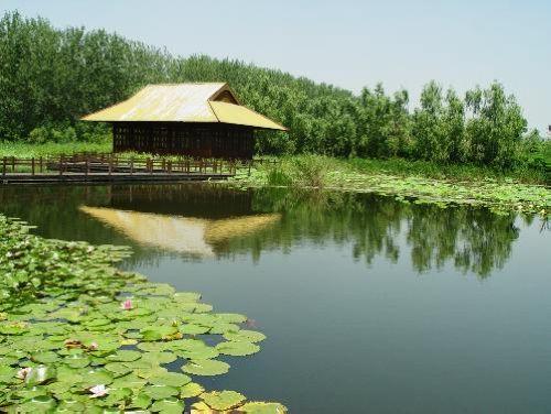 杭州西溪湿地门票特价优惠;; 西溪湿地公园平面图杭州西溪湿地公园