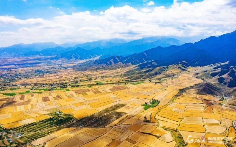 好消息!若羌县入选全国乡村建设评价样本县
