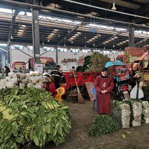 菜篮子供应是否充足记者探访中部最大农产品批发市场