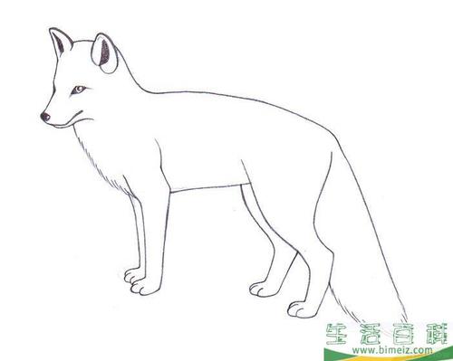 怎么画狐狸