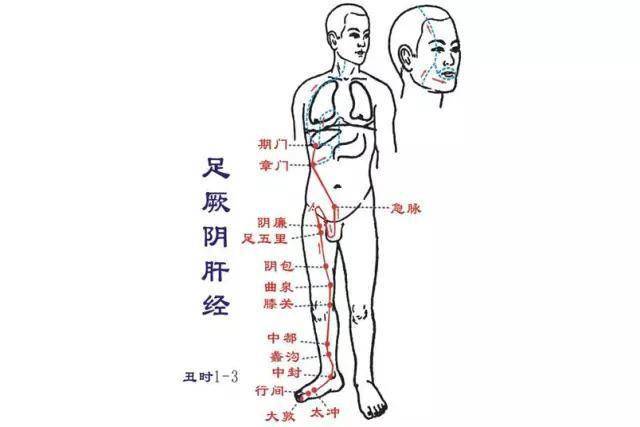肝经锻炼七法强肝护肝真肝净