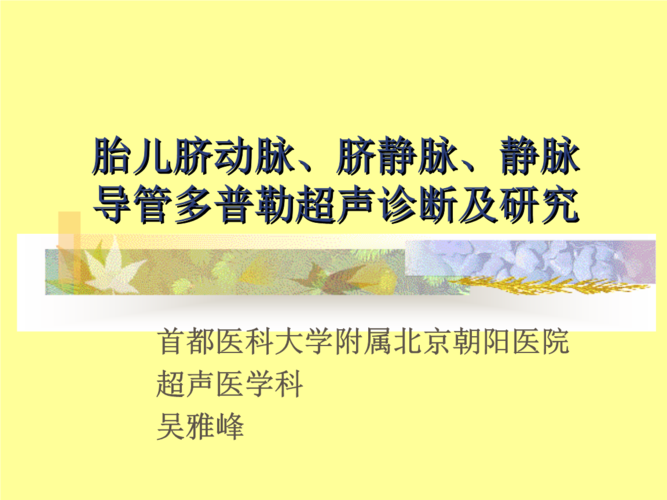 胎儿脐动脉,脐静脉,静脉导管多普勒超声诊断及研究.ppt 56页