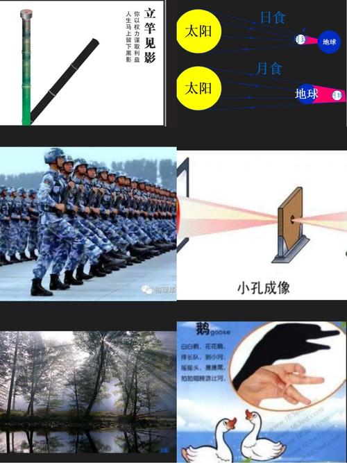 我们一起玩物理 手抄报篇三——光现象