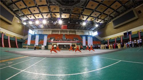 安阳市隆重举办2018年中国武术段位制考试