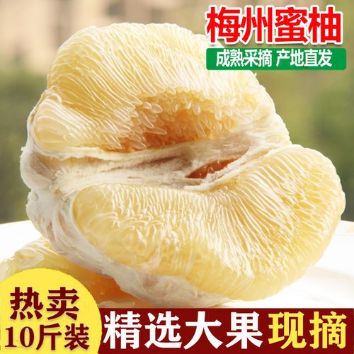 蜜柚广东梅州水晶新鲜白心柚子梅县白肉当季柚子