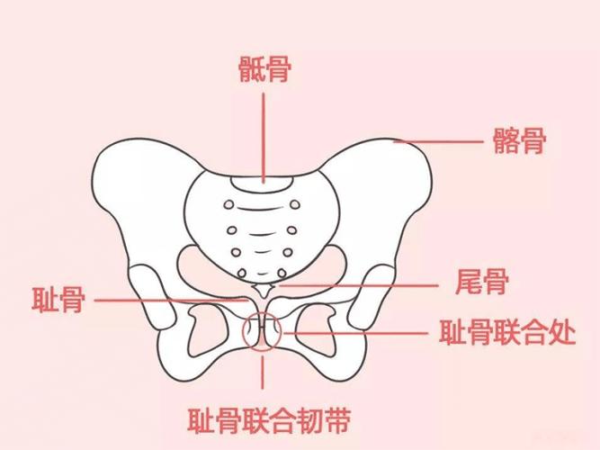有没有做过产后骨盆修复的宝妈,你们觉得怎么样有效果