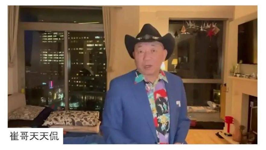 崔哥天天侃
