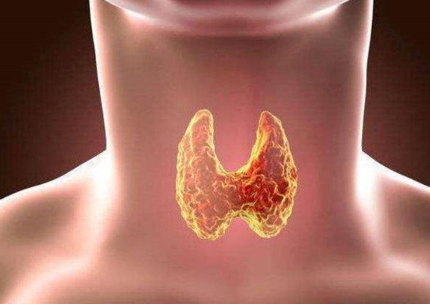 甲状腺疾病会遗传吗?许京锋主任提醒:育龄期女性要格外注意!