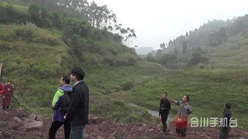 合川香龙镇:香炉村鹞子湾里植树忙