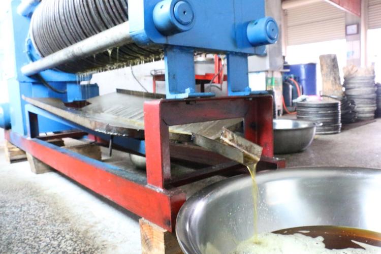 传统工艺压榨山茶籽油