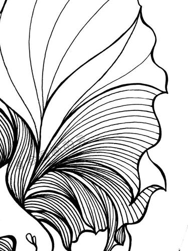 5步就可以画的小金鱼,魅力十足的线条