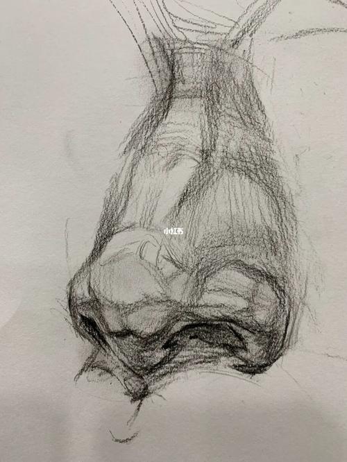 素描五官|鼻子的结构分析与步骤分享_素描_美术生_形体_北京通州