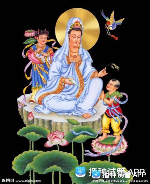 试管婴儿大慈大悲观世音菩萨求您保佑我