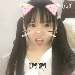 快手火线妹表情包动图                                      高清版