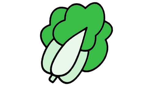 青菜怎么画 - 简笔画 - 懂得