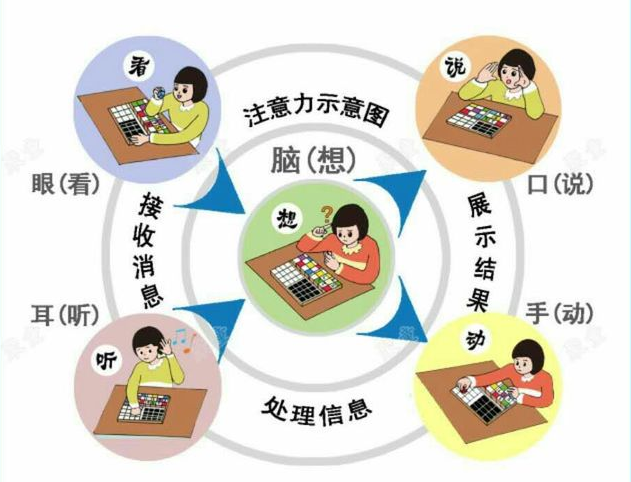 专注力课程