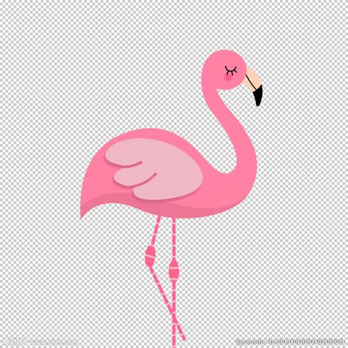 卡通火烈鸟图片