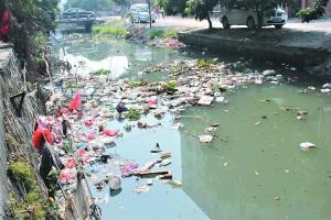 广东一河涌污染百亩农田 菜农:赤脚下水就痒