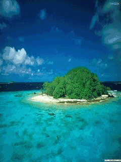 飞雪收藏手机屏保一