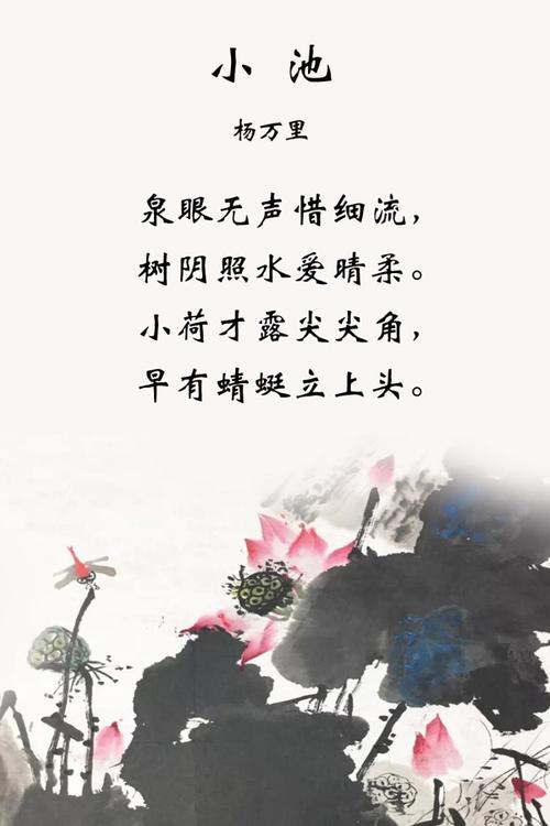 杨万里《小池》_经典古诗词赏析_免费在线阅读收听下载 - 喜马拉雅