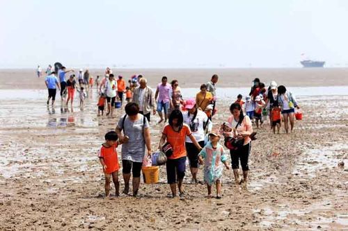 【滨州人游滨州】无棣贝壳堤是真正赶海拾贝的好地方