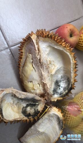 真的不能贪便宜,竟然买了个上霉的榴莲!