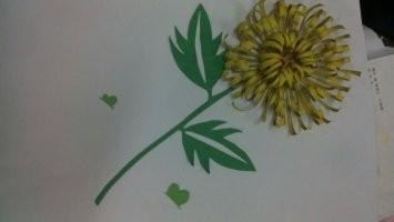 如何制作手工菊花