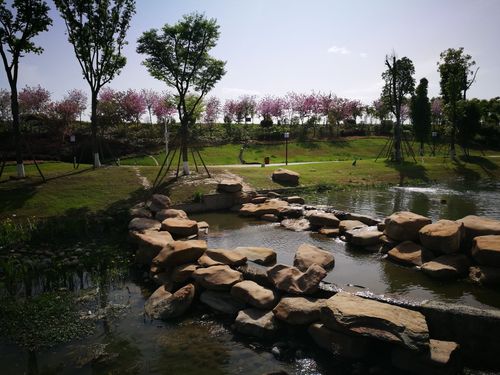 行摄绵阳湿地公园