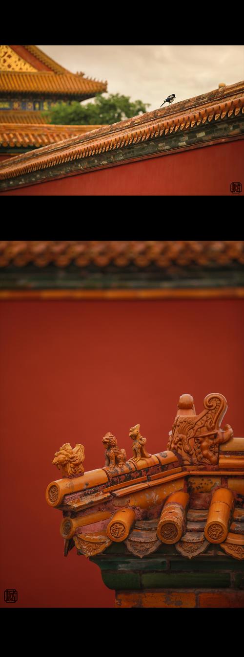 故宫|摄影|风光摄影|摄影师蝈蝈小姐 - 原创作品 - 站酷 (zcool)