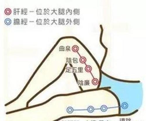 3,经常敲肝胆经