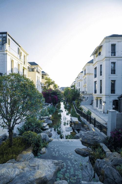 俊发生态半岛||陪伴,是最长情的告白