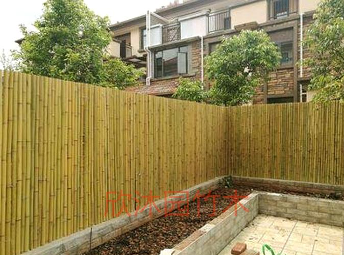 竹篱笆栅栏围栏户外庭院竹帘子隔断花园护栏屏风竹竿