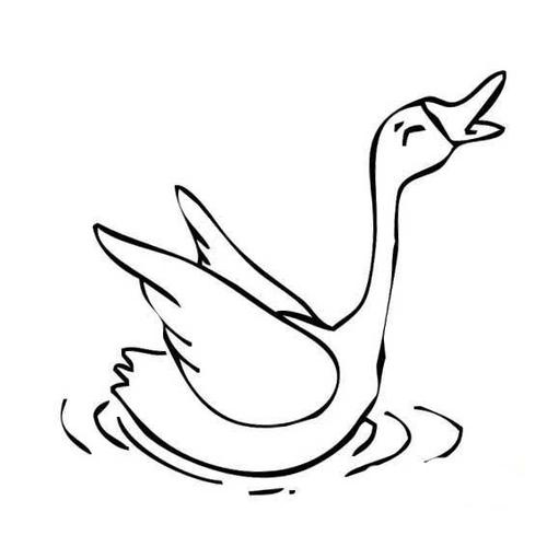 鹅-简笔画版