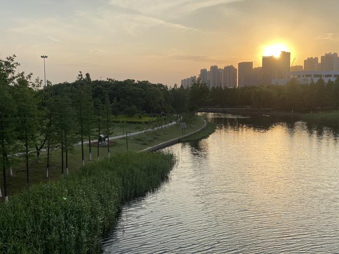 南京河西城市生态公园