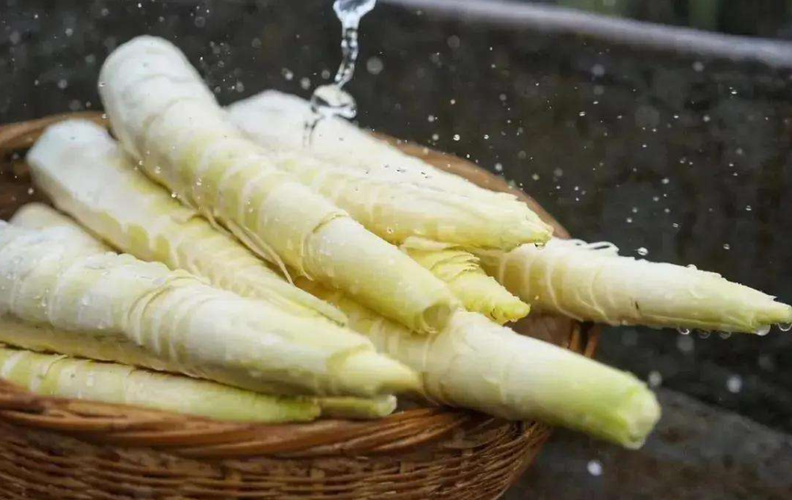 又到一年吃笋季你知道春笋和冬笋有什么区别买错了难吃还费钱
