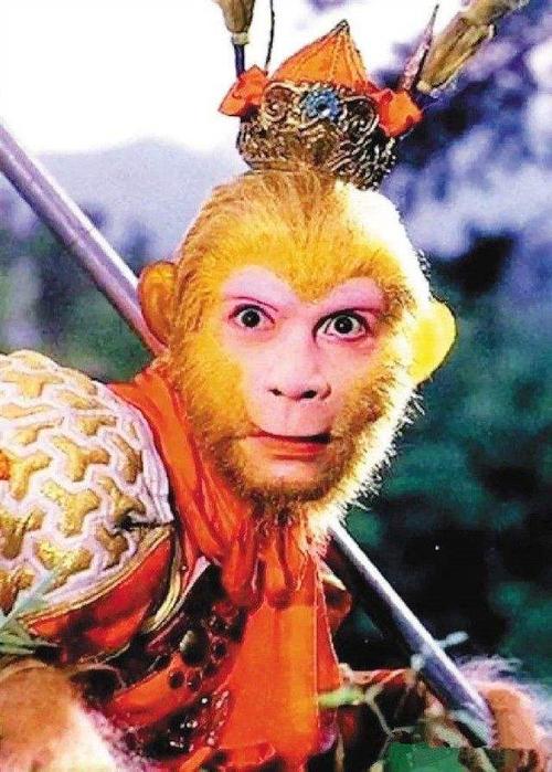 每日一语20_刘江超_metlife的专栏文章_微信文章_今天