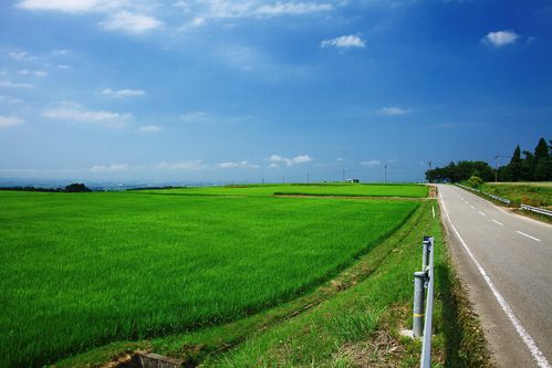 日本风景-原野道路(1920x1280)壁纸 - 桌面壁纸【壁纸